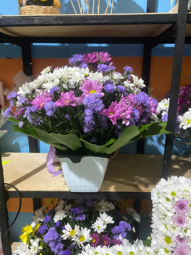 Toko Bunga Terbesar King Florist rumahdukayossudarsopalangkaraya – Pilihan Utama Florist Profesional
